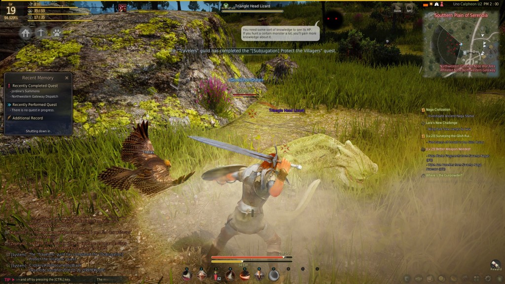 Can My Computer Run Black Desert Online