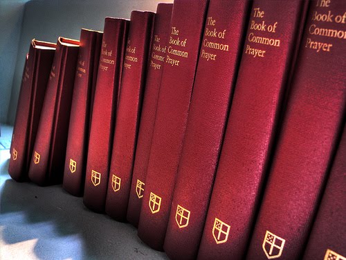 a lineup of red books on a shelf